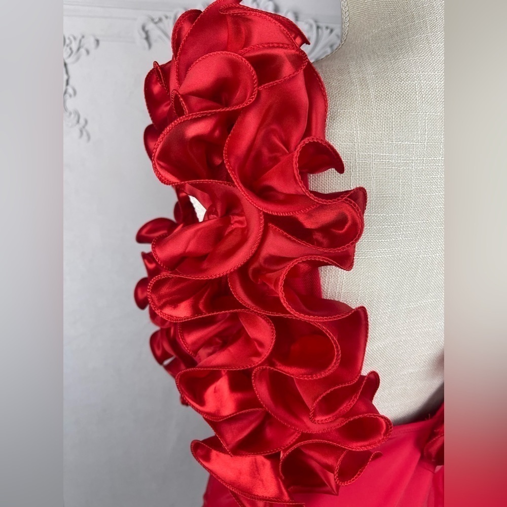 Ruby Red Luxury One Piece Swimsuit Set & Skirt Evening Gown Set - Picture 12 of 12